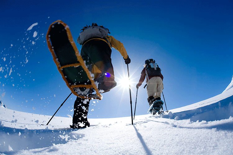 What To Look For In Snowshoes