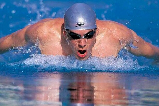Michael Phelps or A Great White Shark