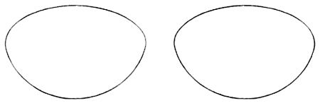 lens shapes for rimless eyeglasses