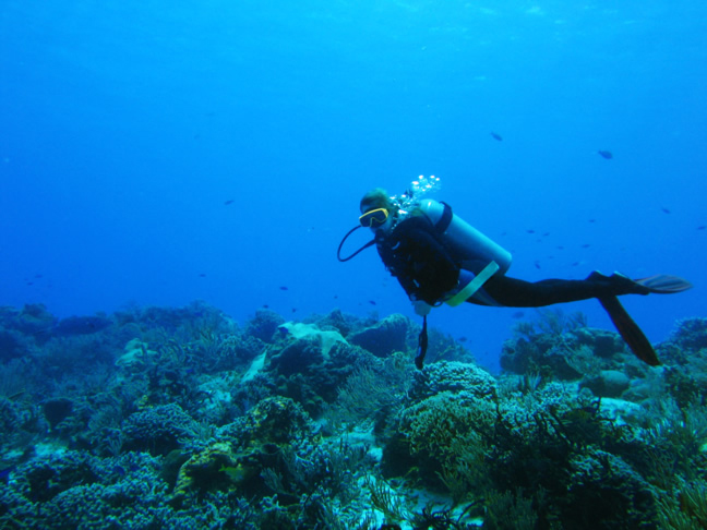 The Do's and Don'ts of Exploring Underwater