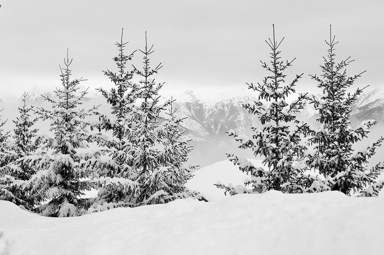 Fog-free ski goggles