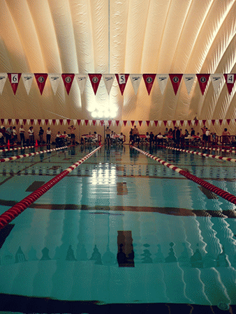 swimming-facts